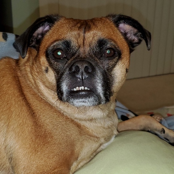 Meet your Posher, Cristie - Picture 4 of 4